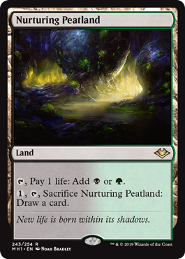[243]【EN】【FOIL】育成泥炭地/Nurturing Peatland【MH1】[R][土地]