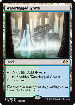 [249]【EN】【FOIL】冠水樹林帯/Waterlogged Grove【MH1】[R][土地]