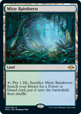 [250]【EN】【FOIL】霧深い雨林/Misty Rainforest【MH2】[R][土地]