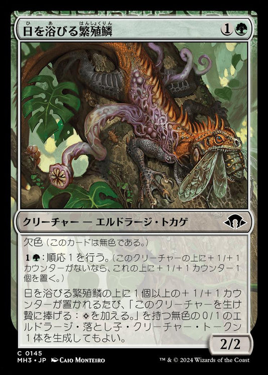 [145]【JP】【FOIL】日を浴びる繁殖鱗/Basking Broodscale【MH3】[C][緑]