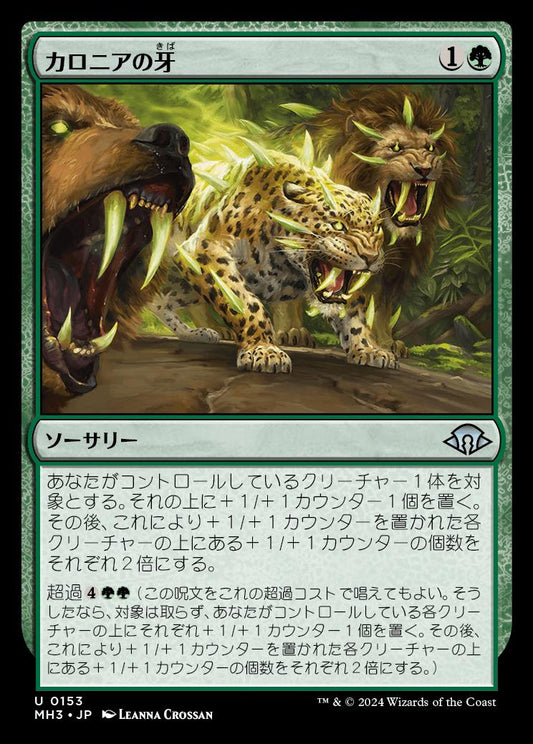 [153]【JP】【FOIL】カロニアの牙/Fangs of Kalonia【MH3】[U][緑]