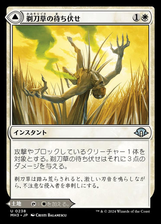 [238]【JP】剃刀草の待ち伏せ/Razorgrass Ambush【MH3】[U][白]