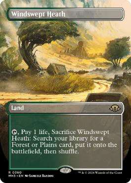 [360]【EN】【FOIL】■ボーダーレス■吹きさらしの荒野/Windswept Heath【MH3】[R][土地]