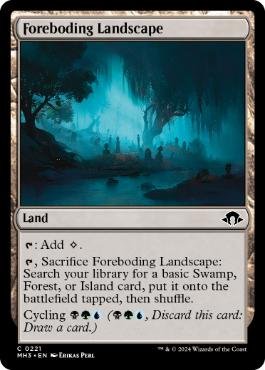 [221]【EN】【FOIL】不吉地帯/Foreboding Landscape【MH3】[C][土地]