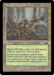 [319]【EN】【FOIL】ヒッコリーの植林地/Hickory Woodlot【MMQ】[C][土地]