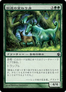 [123]【JP】【FOIL】獣道の変わり身/Game-Trail Changeling【MOR】[C][緑]