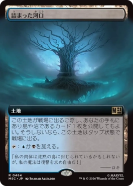 [464]【JP】■拡張アート■詰まった河口/Choked Estuary【MSC】[R][土地]