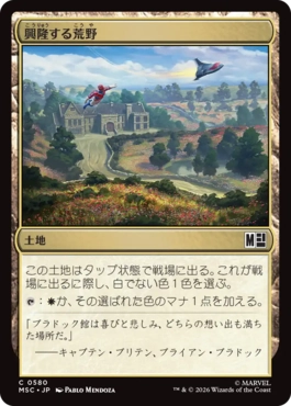 [580]【JP】興隆する荒野/Thriving Heath【MSC】[C][土地]
