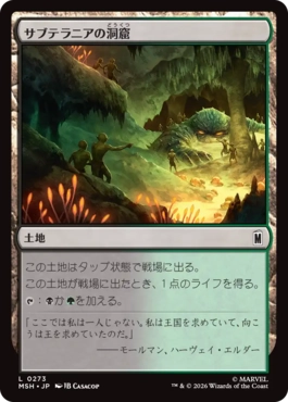 [273]【JP】【FOIL】サブテラニアの洞窟/Subterranean Cavern【MSH】[C][土地]