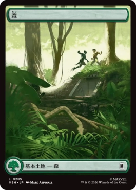 [285]【JP】【FOIL】■フルアート■森/Forest【MSH】[C][土地]