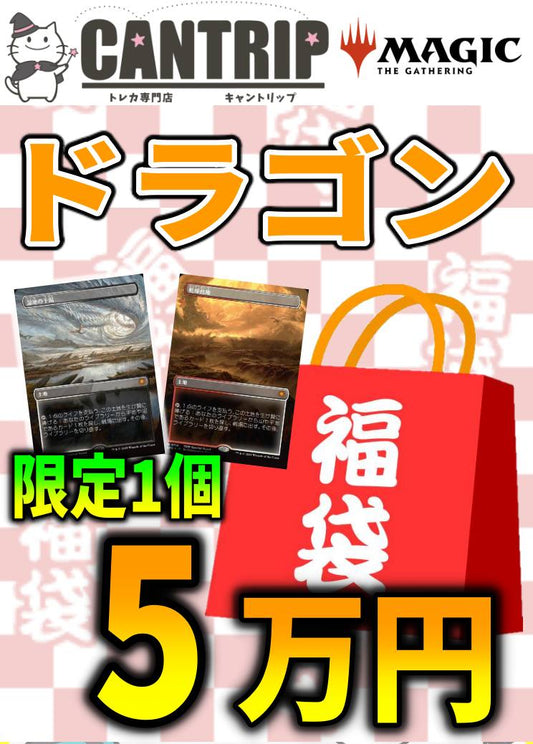 【福袋】ドラゴンスケイル版《乾燥台地》《湿地の干潟》確定封入MTGドラゴン5万円福袋