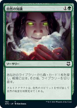 [164]【JP】自然の知識/Nature's Lore【AFC】[C][緑]