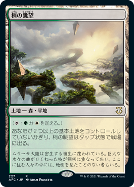 [227]【JP】梢の眺望/Canopy Vista【AFC】[R][土地]