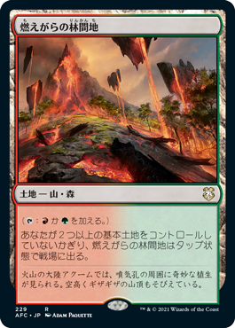 [229]【JP】燃えがらの林間地/Cinder Glade【AFC】[R][土地]