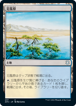 [237]【JP】氾濫原/Flood Plain【AFC】[U][土地]