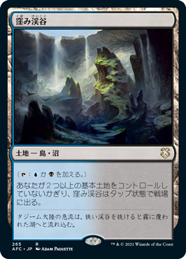 [265]【JP】窪み渓谷/Sunken Hollow【AFC】[R][土地]