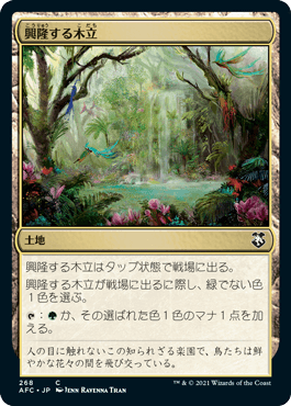 [268]【JP】興隆する木立/Thriving Grove【AFC】[C][土地]