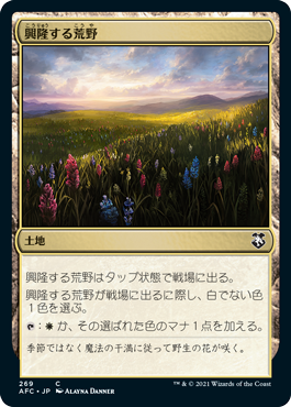 [269]【JP】興隆する荒野/Thriving Heath【AFC】[C][土地]