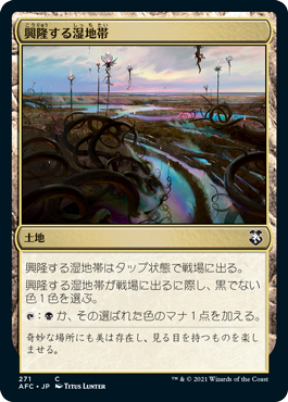 [271]【JP】興隆する湿地帯/Thriving Moor【AFC】[C][土地]