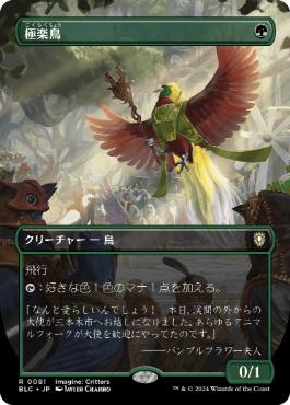 [081]【JP】■ボーダーレス■極楽鳥/Birds of Paradise【BLC】[R][緑]
