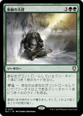 [237]【JP】巫師の天啓/Shamanic Revelation【BLC】[R][緑]