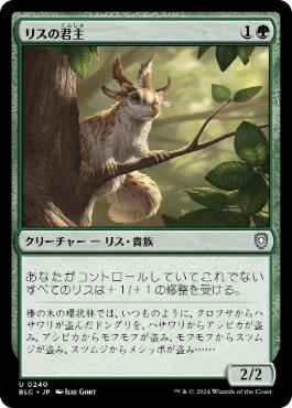 [240]【JP】リスの君主/Squirrel Sovereign【BLC】[U][緑]