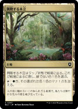 [347]【JP】興隆する木立/Thriving Grove【BLC】[C][土地]