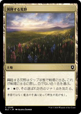 [348]【JP】興隆する荒野/Thriving Heath【BLC】[C][土地]