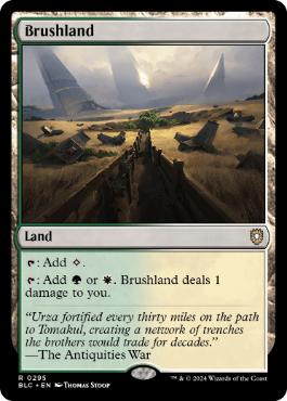 [295]【EN】低木林地/Brushland【BLC】[R][土地]