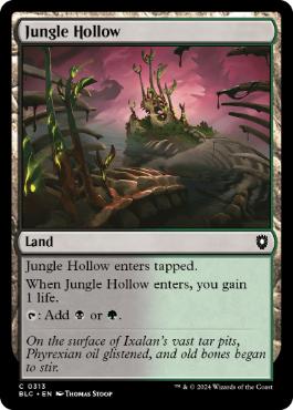 [313]【EN】ジャングルのうろ穴/Jungle Hollow【BLC】[C][土地]