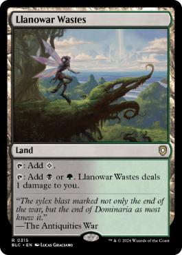 [315]【EN】ラノワールの荒原/Llanowar Wastes【BLC】[R][土地]