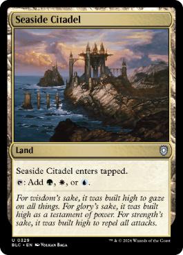 [329]【EN】海辺の城塞/Seaside Citadel【BLC】[U][土地]