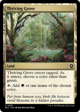 [347]【EN】興隆する木立/Thriving Grove【BLC】[C][土地]