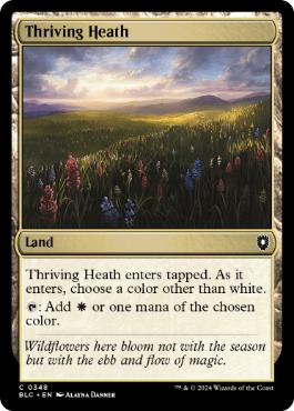 [348]【EN】興隆する荒野/Thriving Heath【BLC】[C][土地]