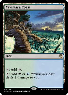 [355]【EN】ヤヴィマヤの沿岸/Yavimaya Coast【BLC】[R][土地]