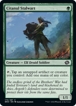 [175]【EN】【FOIL】シタヌールの重鎮/Citanul Stalwart【BRO】[C][緑]