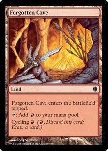 [289]【EN】忘れられた洞窟/Forgotten Cave【C13】[C][土地]