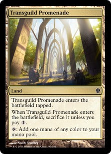 [330]【EN】ギルド渡りの遊歩道/Transguild Promenade【C13】[C][土地]