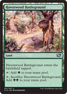 [301]【JP】ヘイヴンウッドの古戦場/Havenwood Battleground【C14】[U][土地]