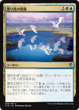 [038]【JP】渡り鳥の経路/Migratory Route【C16】[U][多色]