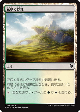[237]【JP】花咲く砂地/Blossoming Sands【C17】[C][土地]