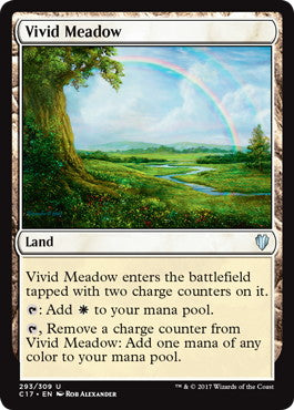 [293]【EN】鮮烈な草地/Vivid Meadow【C17】[U][土地]