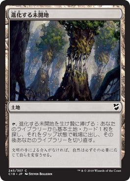 [245]【JP】進化する未開地/Evolving Wilds【C18】[C][土地]