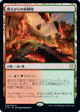 [236]【JP】燃えがらの林間地/Cinder Glade【C19】[R][土地]
