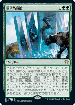 [065]【JP】選択的順応/Selective Adaptation【C20】[R][緑]