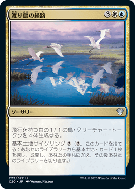 [222]【JP】渡り鳥の経路/Migratory Route【C20】[U][多色]
