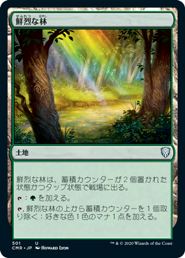 [501]【JP】鮮烈な林/Vivid Grove【CMR】[U][土地]