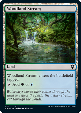 [503]【EN】森林地の小川/Woodland Stream【CMR】[C][土地]