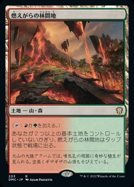 [203]【JP】燃えがらの林間地/Cinder Glade【DMC】[R][土地]