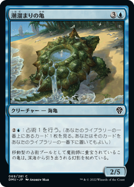 [069]【JP】潮溜まりの亀/Tidepool Turtle【DMU】[C][青]